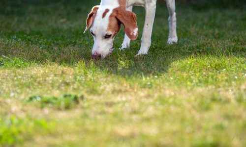 AdobeStock_424501686 AdobeStock_424501686