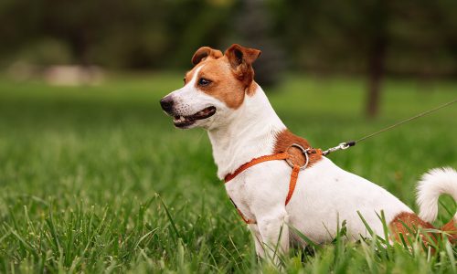 AdobeStock_517987673 AdobeStock_517987673