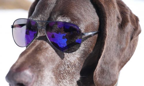 DSC01708_edited DSC01708_edited