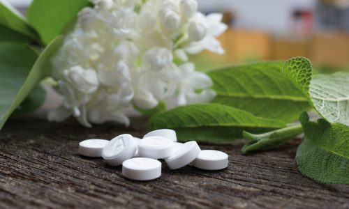 schuler-2913780 schuler-2913780